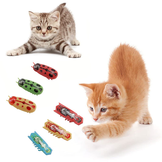Aiitle Electric Ladybug Interactive Cat Toys