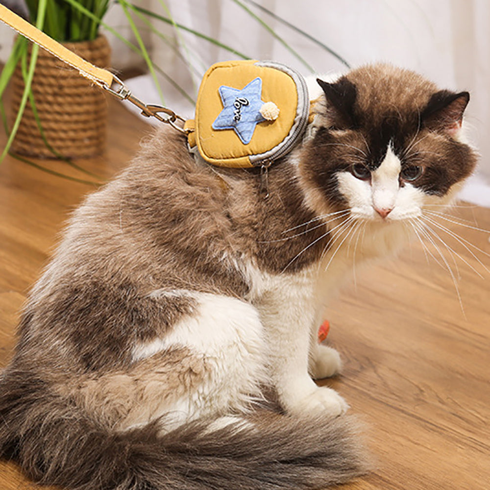 Aiitle Cute Adjustable Pet Harness Leash Set With Backpack