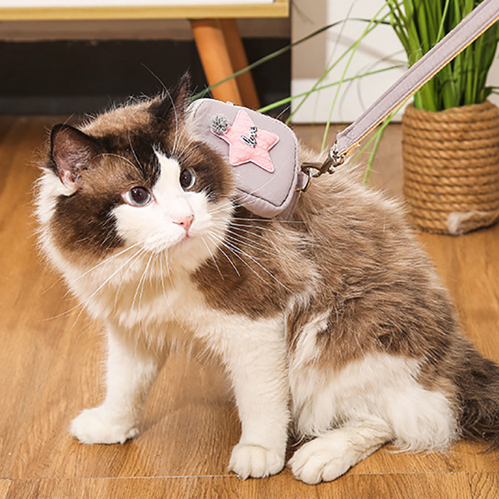 Aiitle Cute Adjustable Pet Harness Leash Set With Backpack