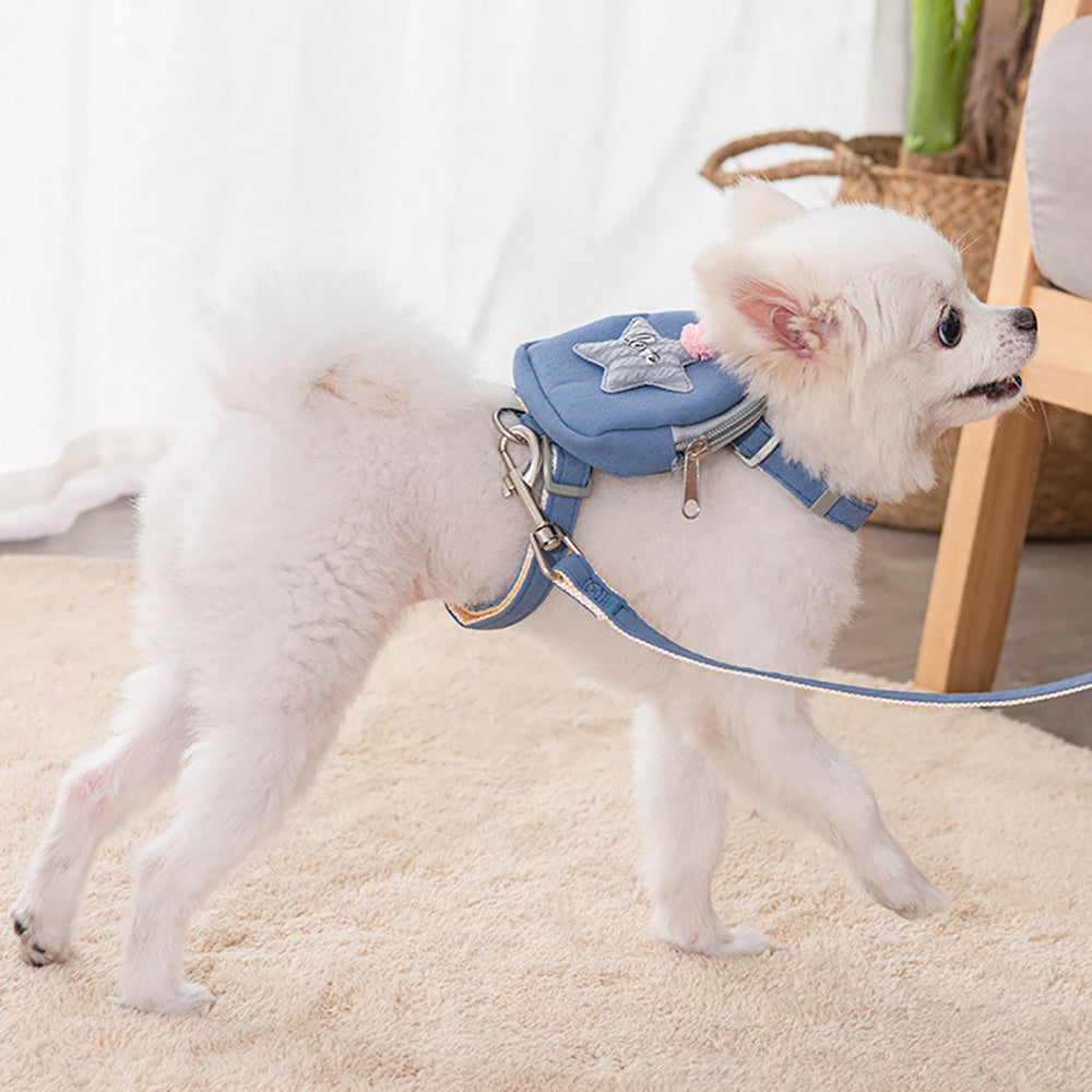 Aiitle Cute Adjustable Pet Harness Leash Set With Backpack