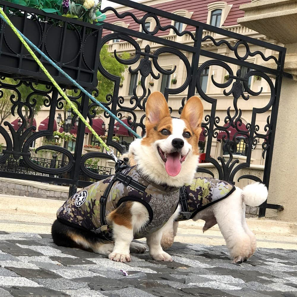 Aiitle Waterproof Winter Warm Dog Harness Jacket