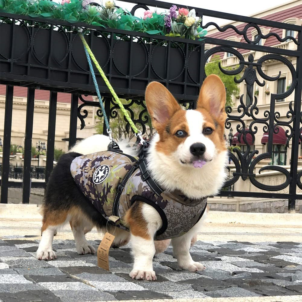 Aiitle Waterproof Winter Warm Dog Harness Jacket