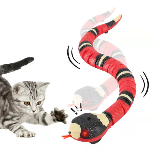 Aiitle Interactive Snake Cat Toy