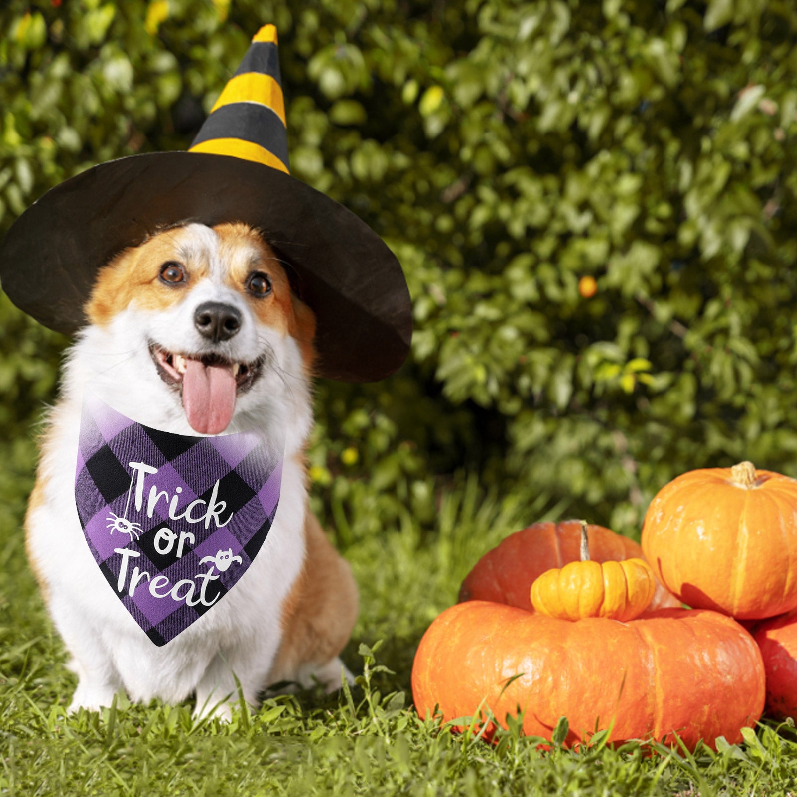 2 Pack Plaid Halloween Dog Bandanas, Washable Halloween Pumpkin Bat Printing | AIITLE