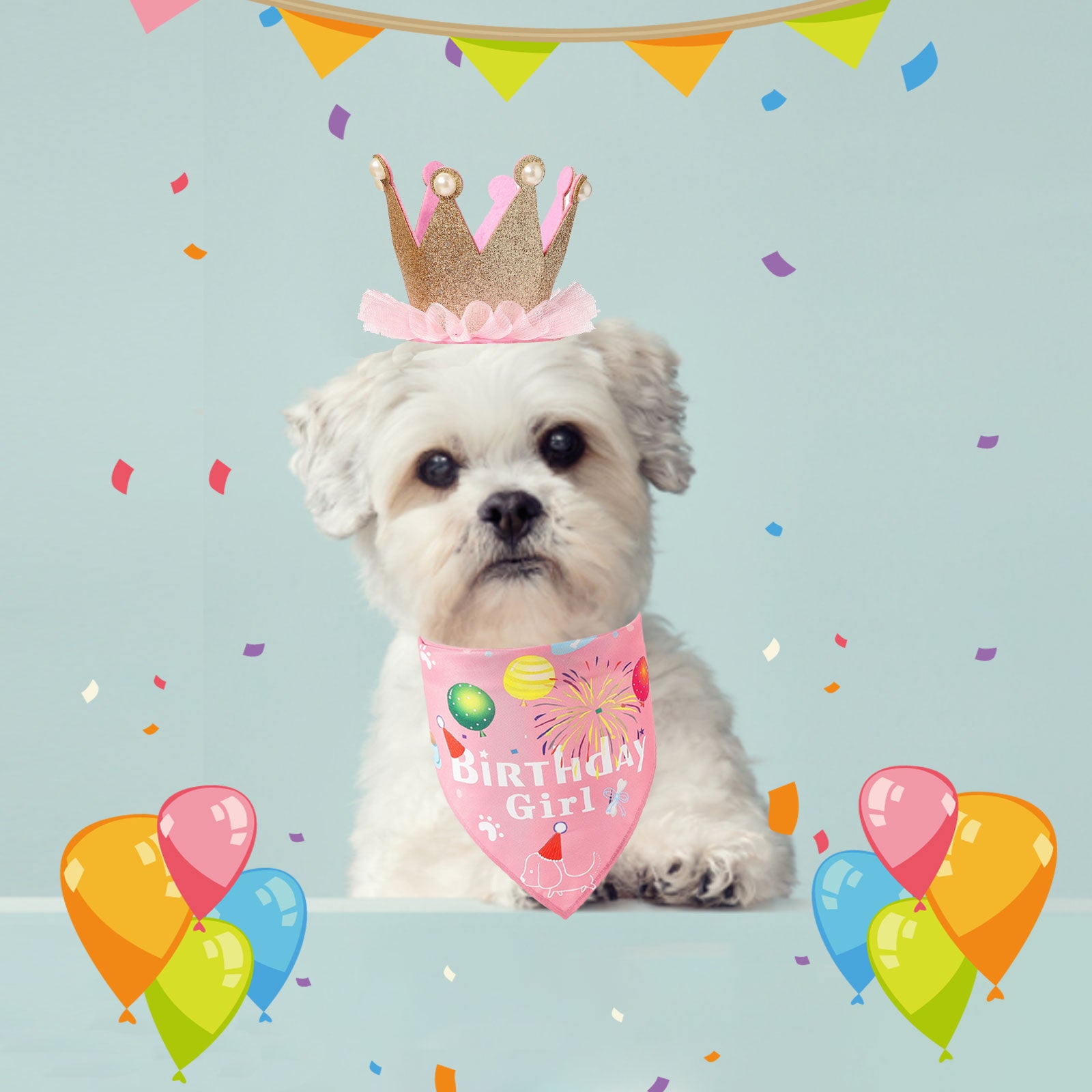 AIITLE Dog Birthday, Scarf and Reusable Dog Girl Birthday Party Hat with Number | AIITLE