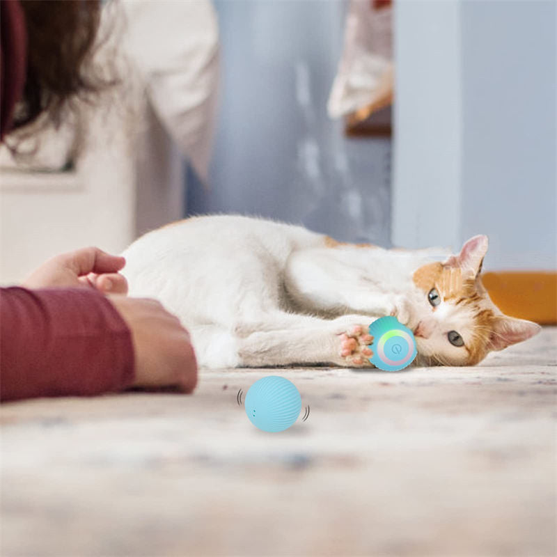 Aiitle Interactive Cat Hunting Toy