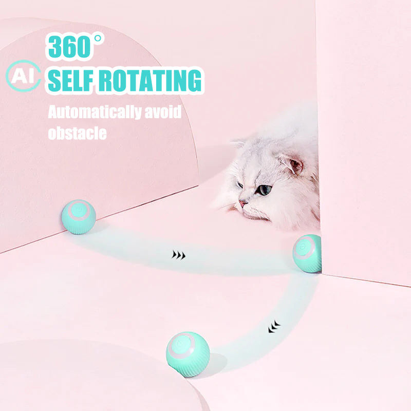 Aiitle Interactive Cat Hunting Toy