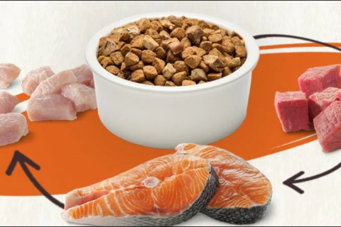 Rotation feeding is not recommended for pets with food allergies or allergies, because some pets with food allergies may be more likely to have further allergies | AIITLE