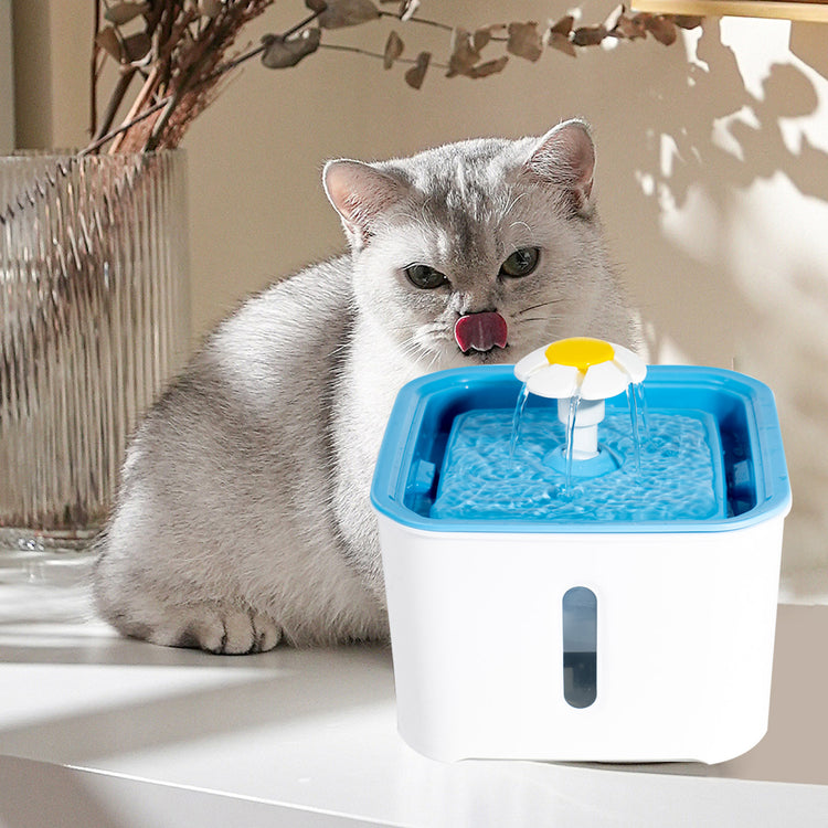 Cat Feeding & Watering Supplies