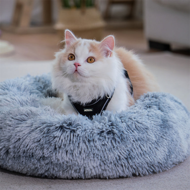 Cat Beds
