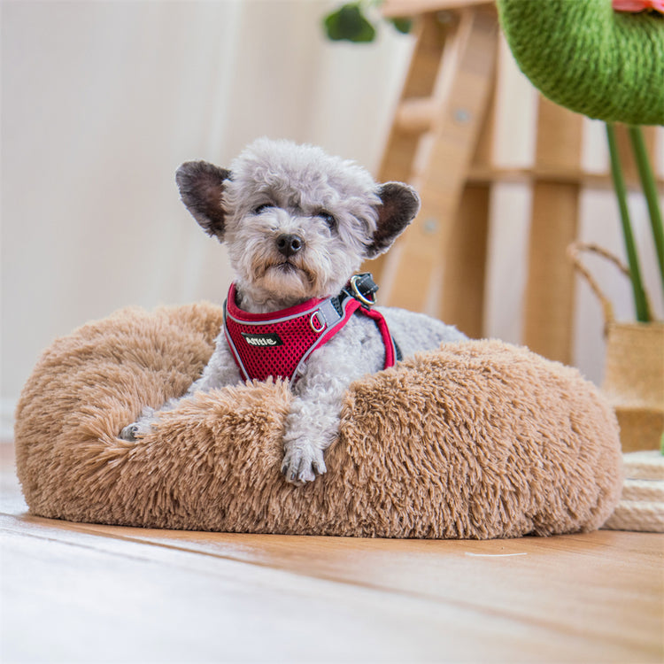 Dog Beds