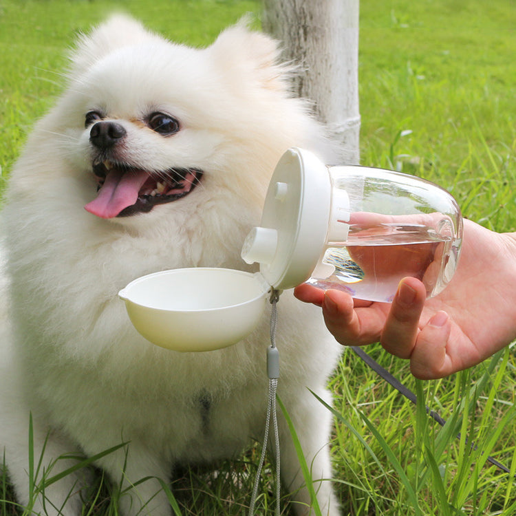 Dog Feeding & Watering Supplies