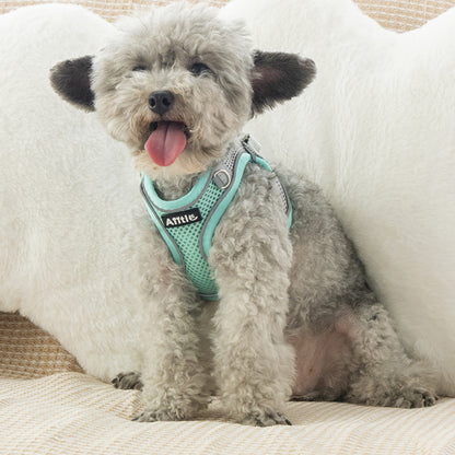 Aiitle Soft Adjustable Mesh Dog Harness Leash Set Green