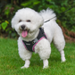 Aiitle Step in Breathable Air Mesh Dog Harness Black