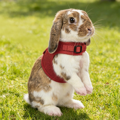 Aiitle Soft Mesh Rabbit Harness and Leash Set with Cute Bow