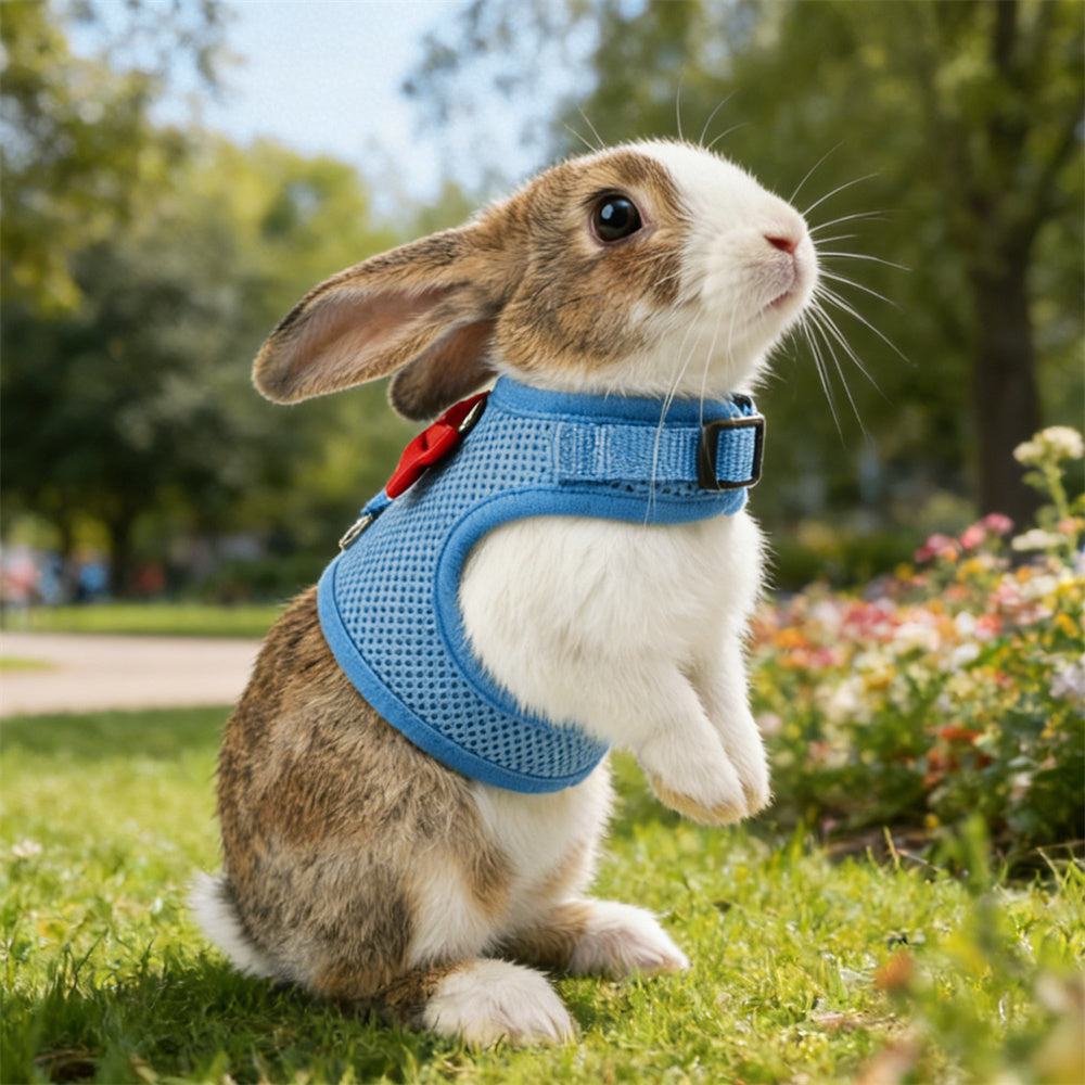 Aiitle Soft Mesh Rabbit Harness and Leash Set with Cute Bow
