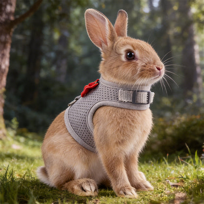 Aiitle Soft Mesh Rabbit Harness and Leash Set with Cute Bow