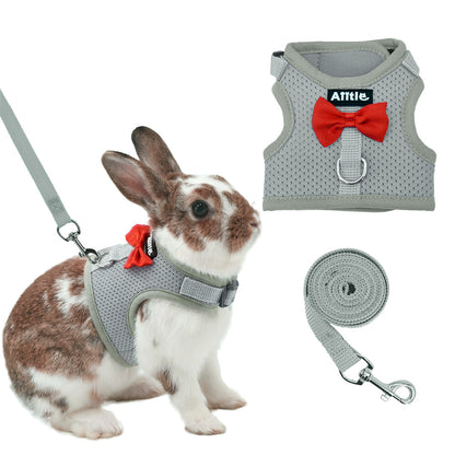 Aiitle Soft Mesh Rabbit Harness and Leash Set with Cute Bow