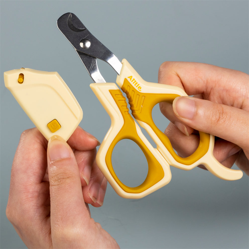 Scissors With Magnifier