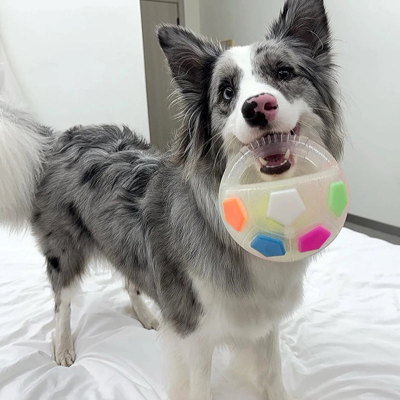 Aiitle Dog Handle Ball Toy with Tennis Ball Inside