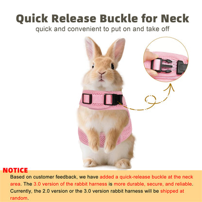 Aiitle Soft Mesh Rabbit Harness and Leash Set with Cute Bow