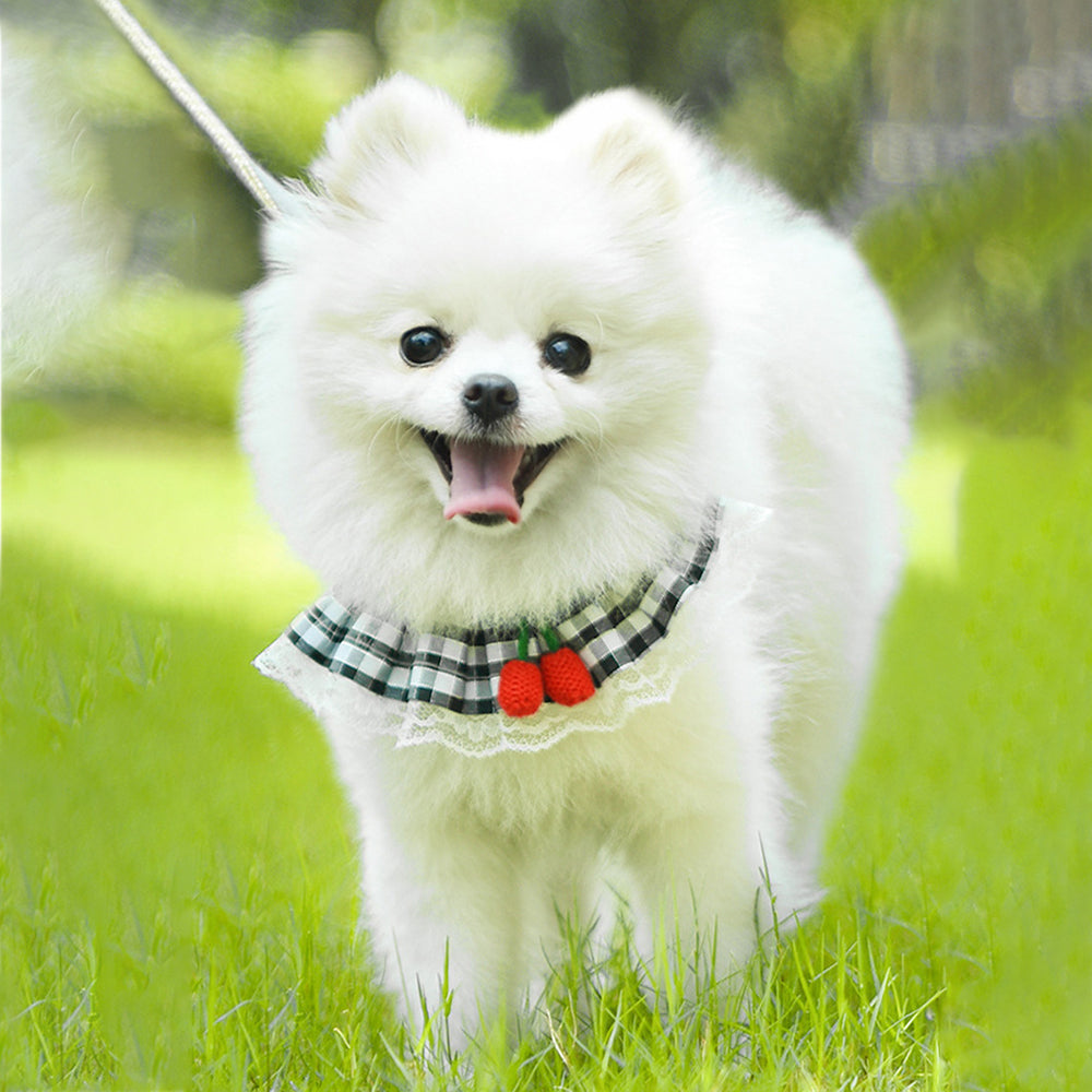 Aiitle Cute Cherry Lace Pet Harness Leash Set