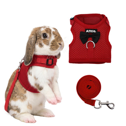 Aiitle Soft Mesh Rabbit Harness and Leash Set with Cute Bow