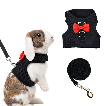 Aiitle Soft Mesh Rabbit Harness and Leash Set with Cute Bow