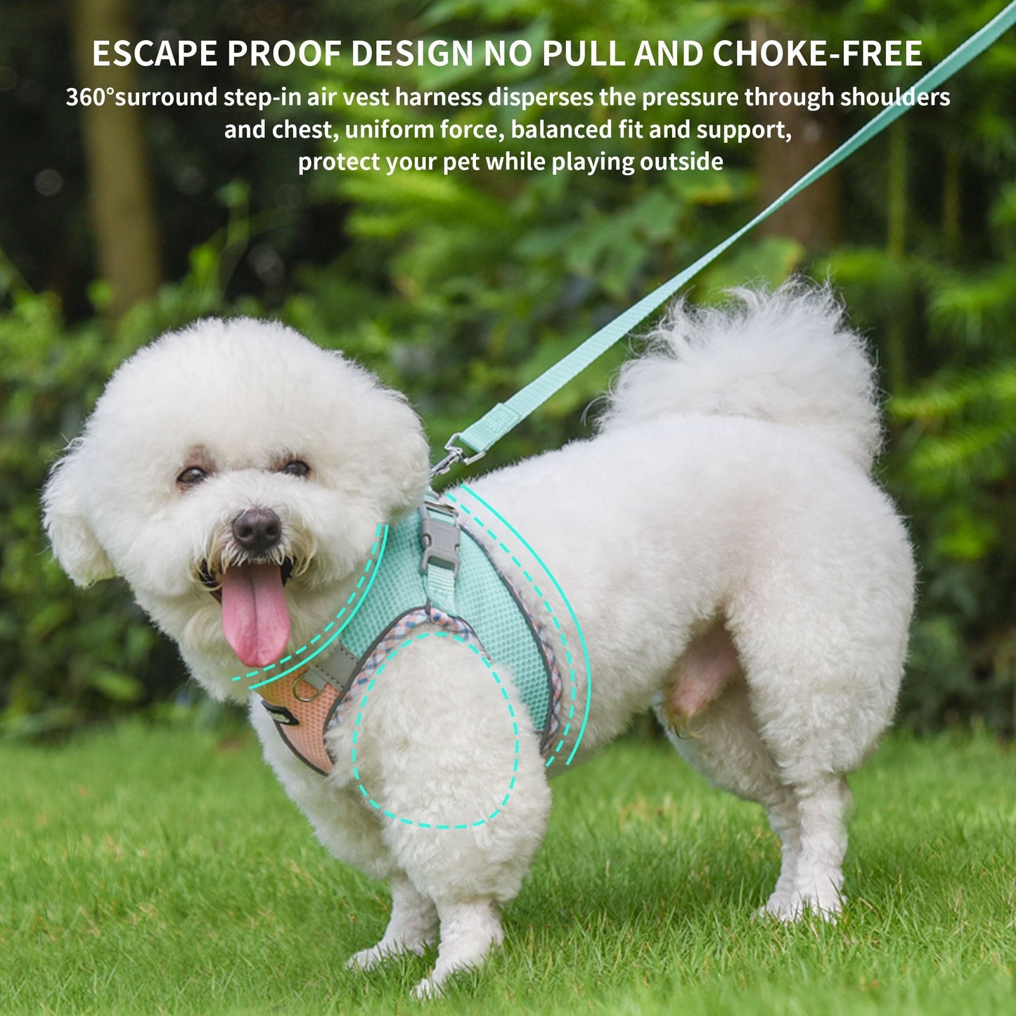 Aiitle Step in Breathable Air Mesh Dog Harness Black