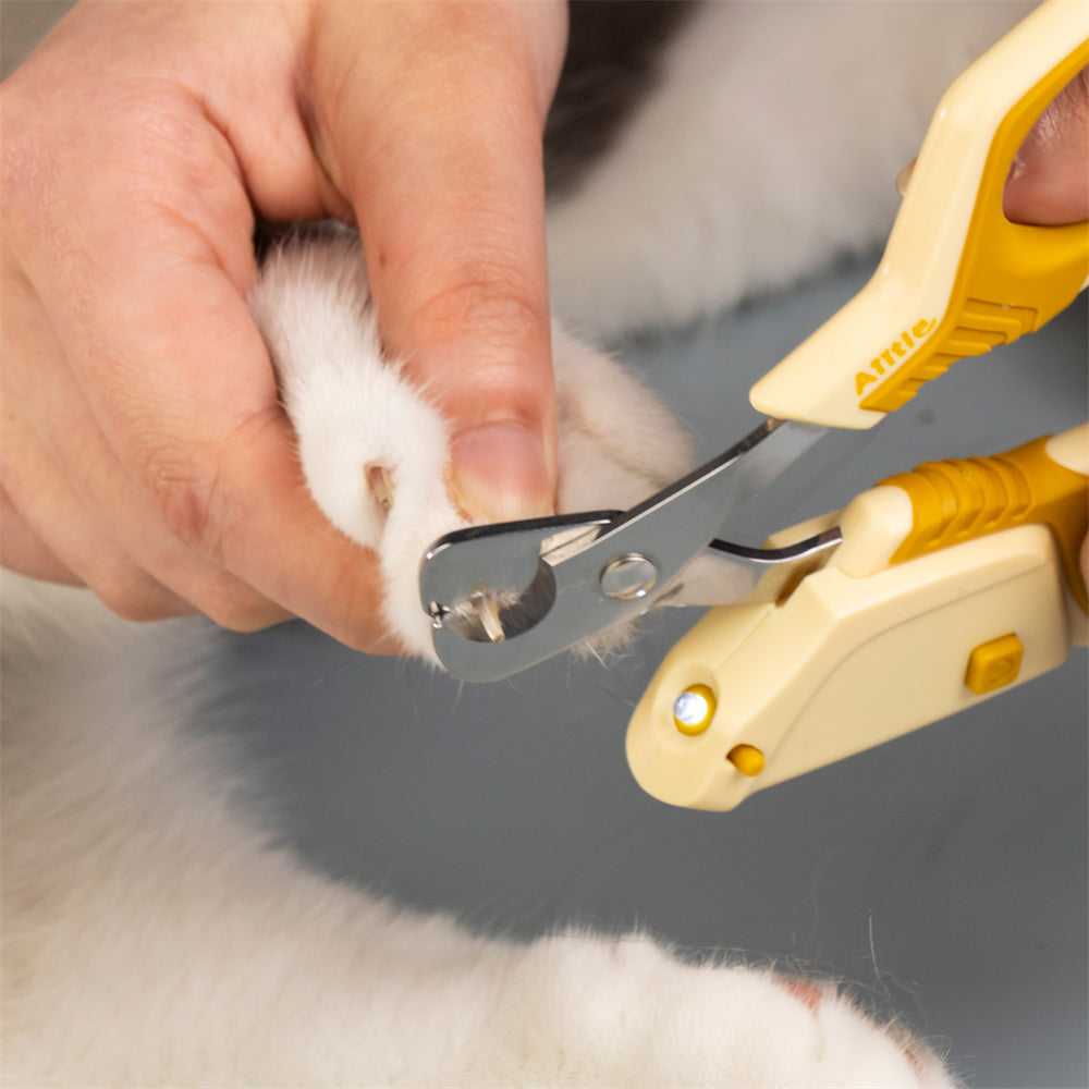 QING Pet Nail Clipper With Led Light Dog Rabbit Cutter Kit Clippers For Cat  LED Prevent Hurt Cute | Shopee Singapore