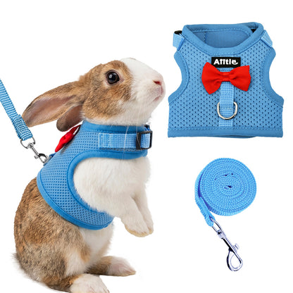 Aiitle Soft Mesh Rabbit Harness and Leash Set with Cute Bow