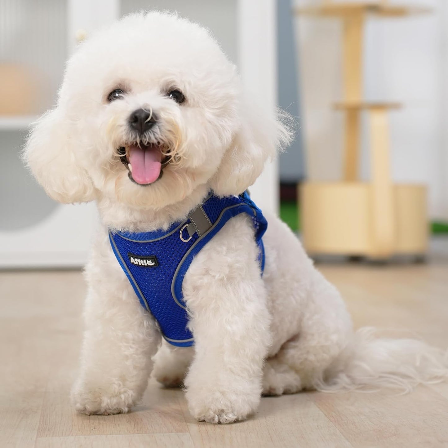 Aiitle Soft Adjustable Mesh Dog Harness Leash Set Royal Blue
