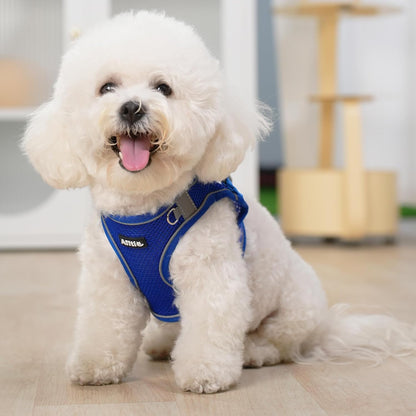 Aiitle Soft Adjustable Mesh Dog Harness Leash Set Royal Blue