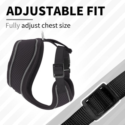 Aiitle Adjustable Mesh Small Dog Harness Black