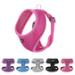 Aiitle Adjustable Mesh Small Dog Harness Black