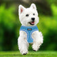Aiitle Adjustable Mesh Small Dog Harness Blue