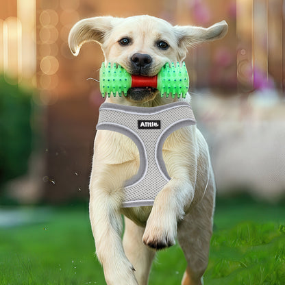 Aiitle Adjustable Mesh Small Dog Harness Gray