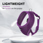 Aiitle Adjustable Mesh Small Dog Harness Purple
