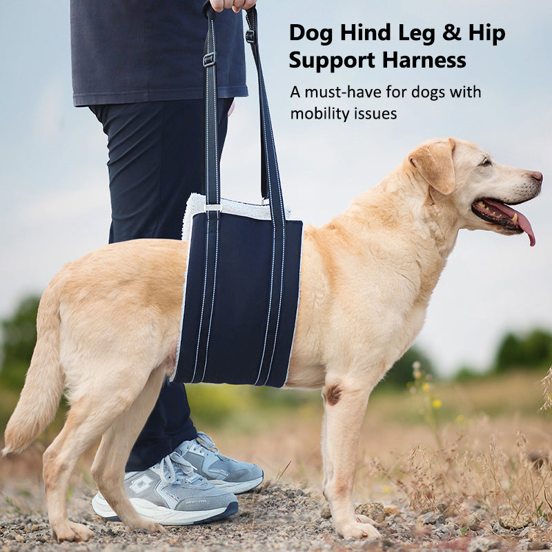 Aiitle Dog Hind Leg & Hip Support Harness