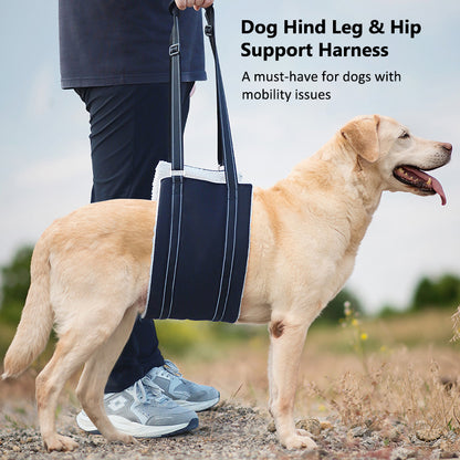 Aiitle Dog Hind Leg & Hip Support Harness