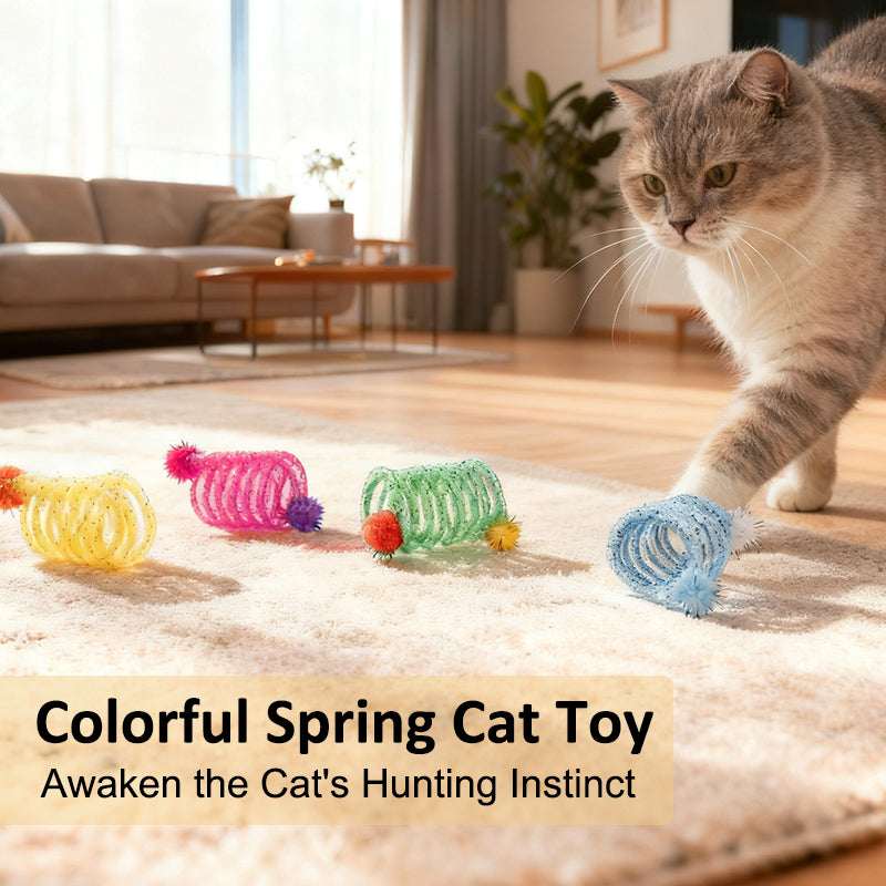 Aiitle Colorful Interactive Cat Spring Toy