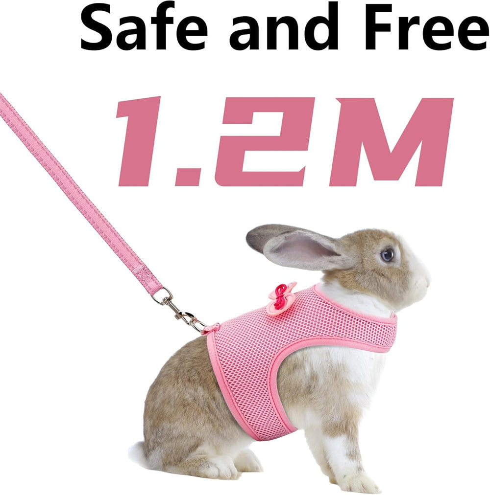 Aiitle Cute Adjustable Rabbit Harness and Leash Set