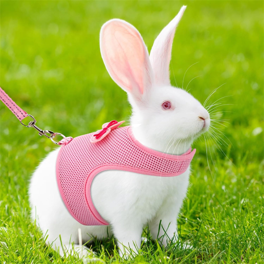 Aiitle Cute Adjustable Rabbit Harness and Leash Set