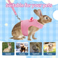 Aiitle Cute Adjustable Rabbit Harness and Leash Set