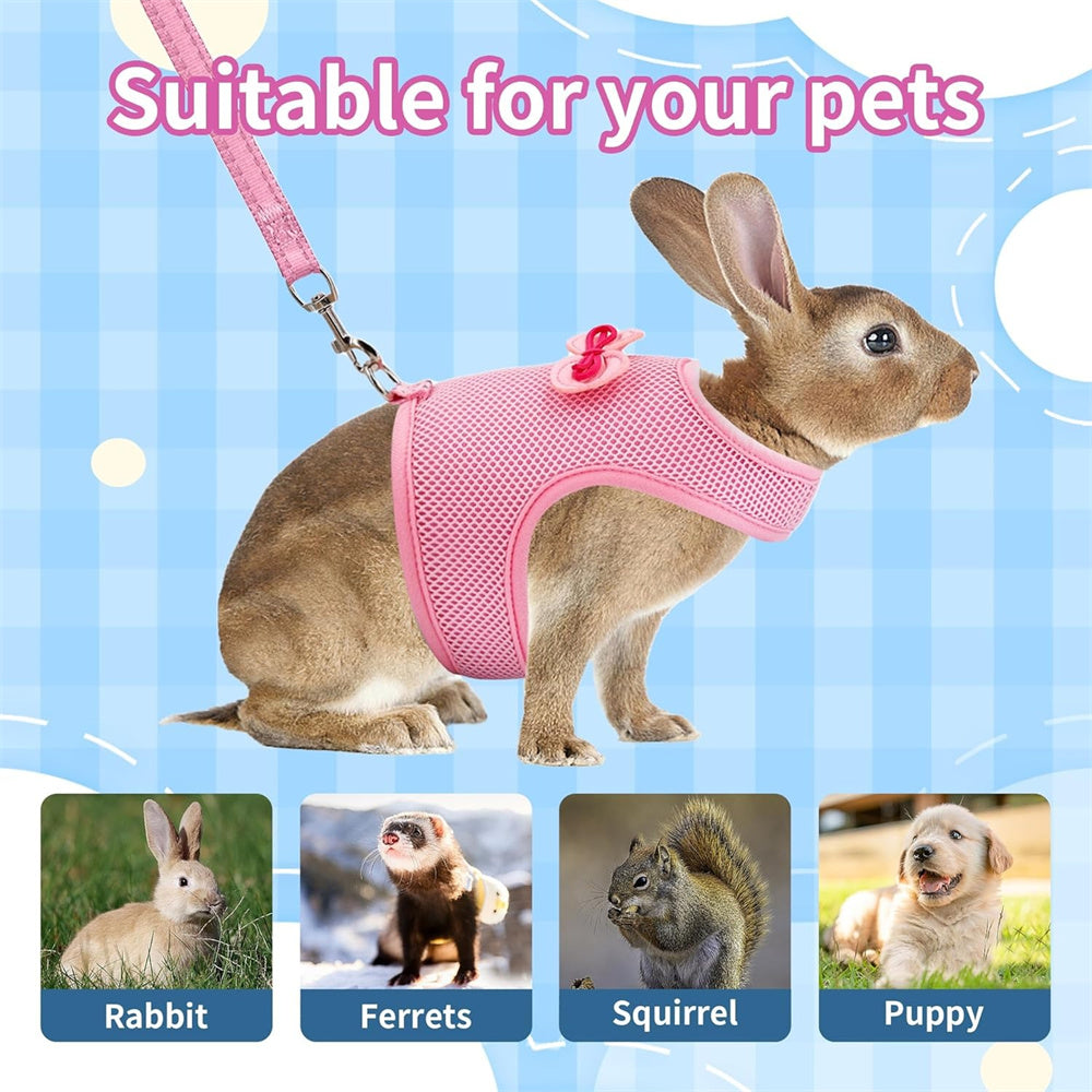 Aiitle Cute Adjustable Rabbit Harness and Leash Set