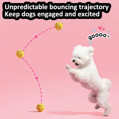 Aiitle Cute Plush Spiked Squeaky Dog Toy
