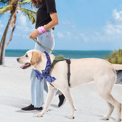 Aiitle Dog Cooling Bandana 5 Pcs