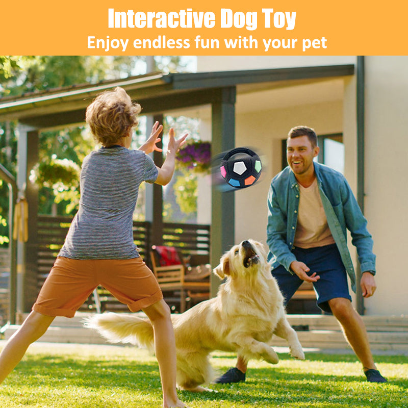 Aiitle Dog Handle Ball Toy with Tennis Ball Inside