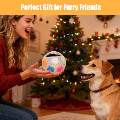 Aiitle Dog Handle Ball Toy with Tennis Ball Inside