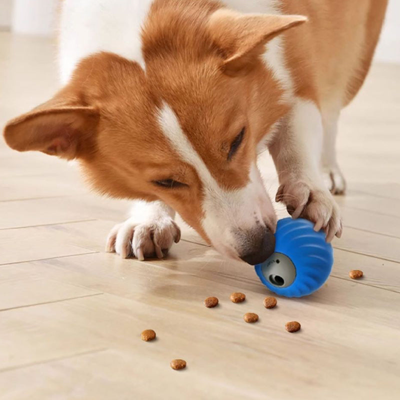 Aiitle Electric Pet Food Leak Ball Toy